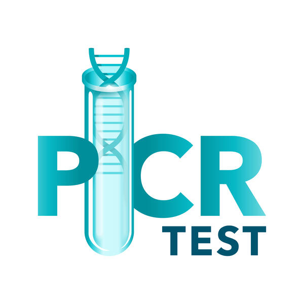 Bild vergrößern: PCR Test