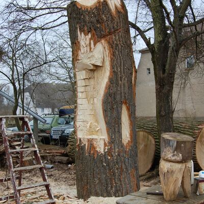 Bild vergrößern: Skulptur entsteht, Baum wird bearbeitet