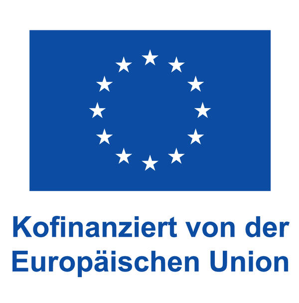 Bild vergrößern: EUROPÄISCHE UNION