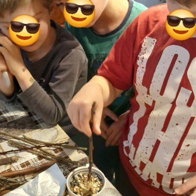Bild vergr&ouml;&szlig;ern: vogelkids