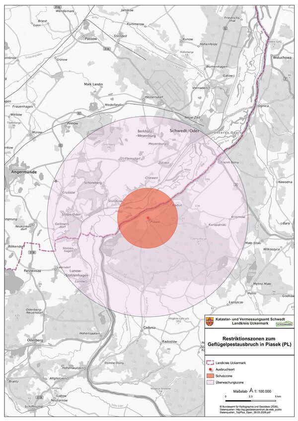 Bild vergr&ouml;&szlig;ern: Karte der deutsch-polnischen Grenzregion um Schwedt/Oder mit markierten Restriktionszonen wegen eines Gefl�gelpestausbruchs in Piasek (Polen). Ein roter Punkt kennzeichnet den Ausbruchsort bei Piasek. Darum liegt eine kleine rote Schutzzone sowie eine gr��ere hellrote �berwachungszone, die Orte wie Schwedt/Oder, Criewen, Stolpe/Oder und Cedynia umfasst. Die Karte zeigt Stra�en, Fl�sse und Ortsnamen in einem Umkreis von etwa 10 Kilometern.
