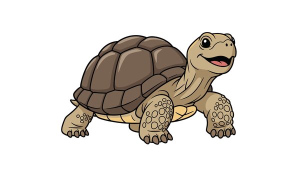 Bild vergr&ouml;&szlig;ern: Schildkr&ouml;te