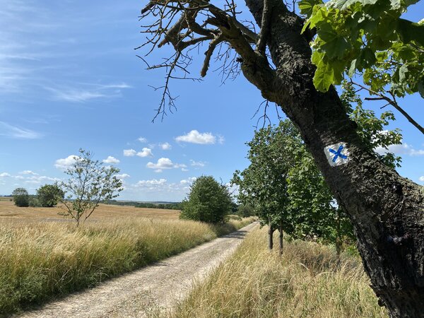 Bild vergr&ouml;&szlig;ern: 18.02.2026 M�rkischer Landweg bei Geesow, Foto Alena Lampe (CC BY-NC-ND)