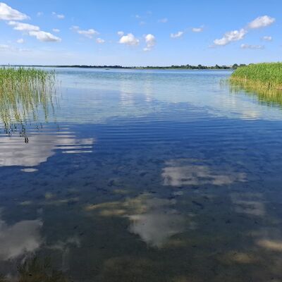 Bild vergr&ouml;&szlig;ern: Badegew�sser Untersuchung