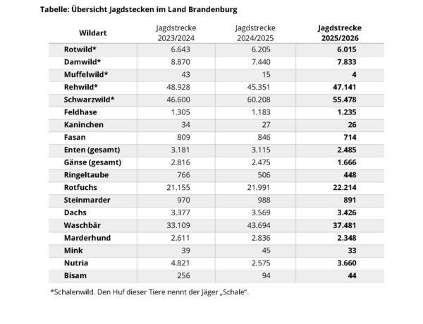 Bild vergr&ouml;&szlig;ern: Jagdstrecke_2025_2026_10_05_Seite_3
