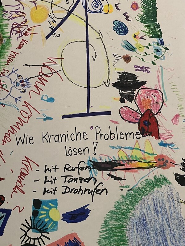 Bild vergr&ouml;&szlig;ern: kranichbild