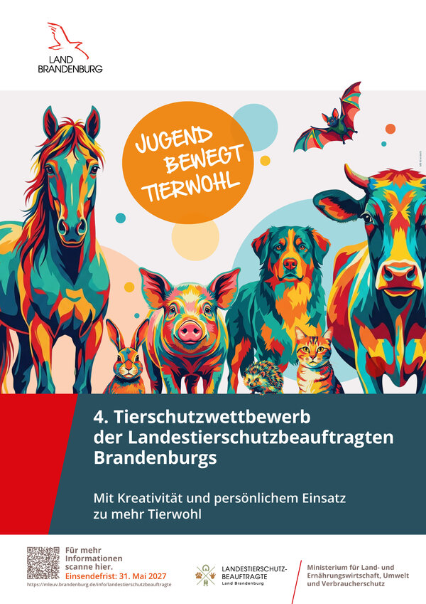 Bild vergr&ouml;&szlig;ern: Tierschutzwettbewerb 2026-27