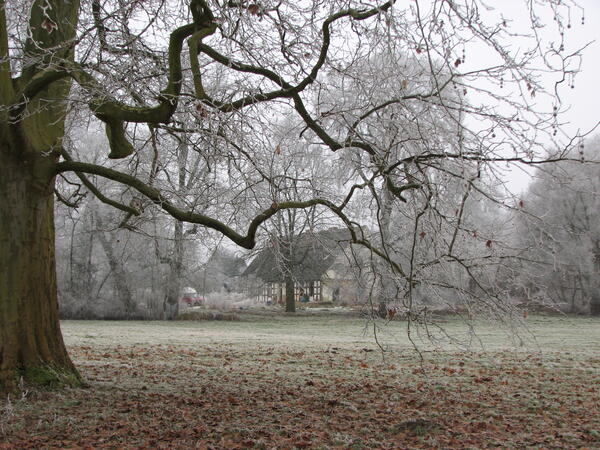 Bild vergr&ouml;&szlig;ern: G&ouml;rlsdorf, Lenn&eacute;-Park